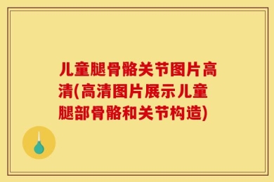 儿童腿骨骼关节图片高清(高清图片展示儿童腿部骨骼和关节构造)