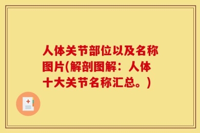 人体关节部位以及名称图片(解剖图解：人体十大关节名称汇总。)