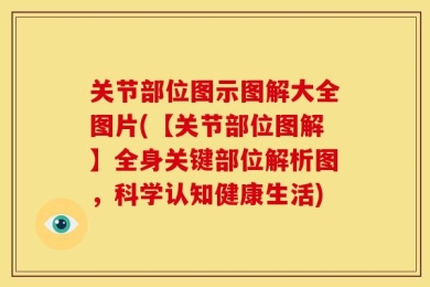 关节部位图示图解大全图片(【关节部位图解】全身关键部位解析图，科学认知健康生活)