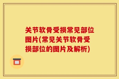关节软骨受损常见部位图片(常见关节软骨受损部位的图片及解析)