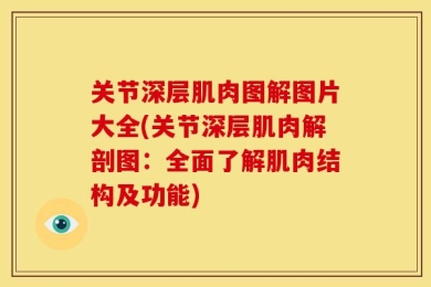 关节深层肌肉图解图片大全(关节深层肌肉解剖图：全面了解肌肉结构及功能)