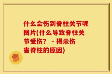 什么会伤到脊柱关节呢图片(什么导致脊柱关节受伤？ - 揭示伤害脊柱的原因)