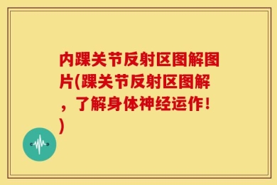 内踝关节反射区图解图片(踝关节反射区图解，了解身体神经运作！)