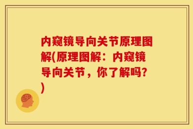 内窥镜导向关节原理图解(原理图解：内窥镜导向关节，你了解吗？)
