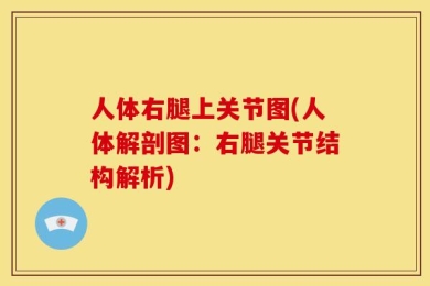 人体右腿上关节图(人体解剖图：右腿关节结构解析)