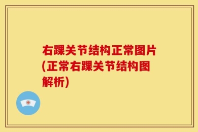 右踝关节结构正常图片(正常右踝关节结构图解析)