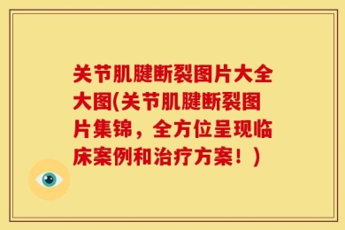 关节肌腱断裂图片大全大图(关节肌腱断裂图片集锦，全方位呈现临床案例和治疗方案！)
