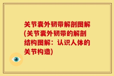关节囊外韧带解剖图解(关节囊外韧带的解剖结构图解：认识人体的关节构造)