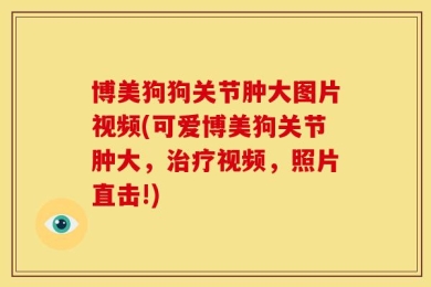 博美狗狗关节肿大图片视频(可爱博美狗关节肿大，治疗视频，照片直击!)
