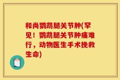和尚鹦鹉腿关节肿(罕见！鹦鹉腿关节肿痛难行，动物医生手术挽救生命)