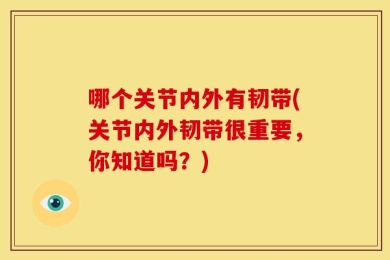 哪个关节内外有韧带(关节内外韧带很重要，你知道吗？)