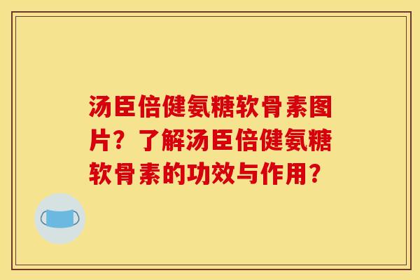 汤臣倍健氨糖软骨素图片？了解汤臣倍健氨糖软骨素的功效与作用？