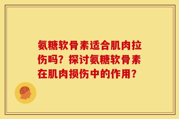 氨糖软骨素适合肌肉拉伤吗？探讨氨糖软骨素在肌肉损伤中的作用？