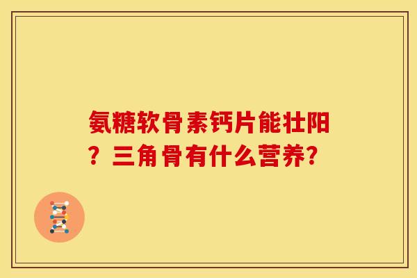 氨糖软骨素钙片能壮阳？三角骨有什么营养？