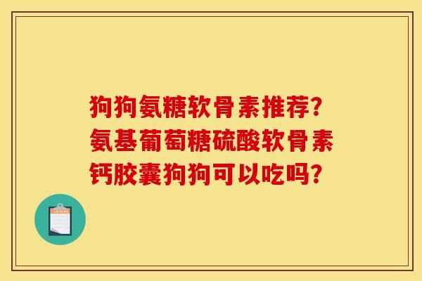 狗狗氨糖软骨素推荐？氨基葡萄糖硫酸软骨素钙胶囊狗狗可以吃吗？