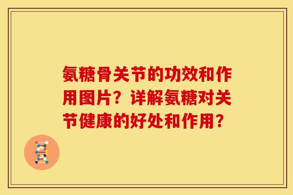 氨糖骨关节的功效和作用图片？详解氨糖对关节健康的好处和作用？