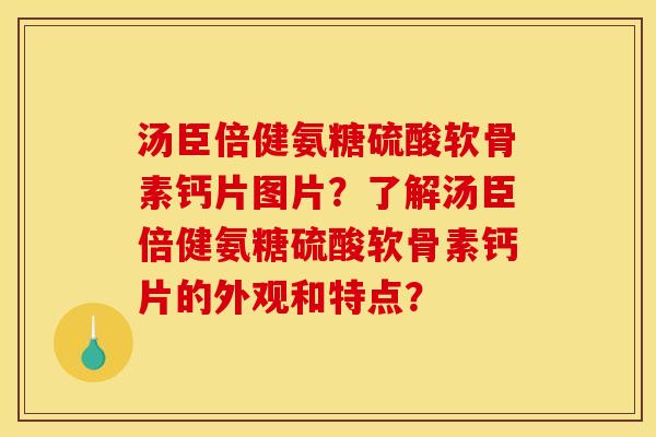 汤臣倍健氨糖硫酸软骨素钙片图片?了解汤臣倍健氨糖硫酸软骨素钙片的外观和特点? 汤臣倍健氨糖硫酸软骨素钙片图片?了解汤臣倍健氨糖硫酸软骨素钙片的外观和特点?