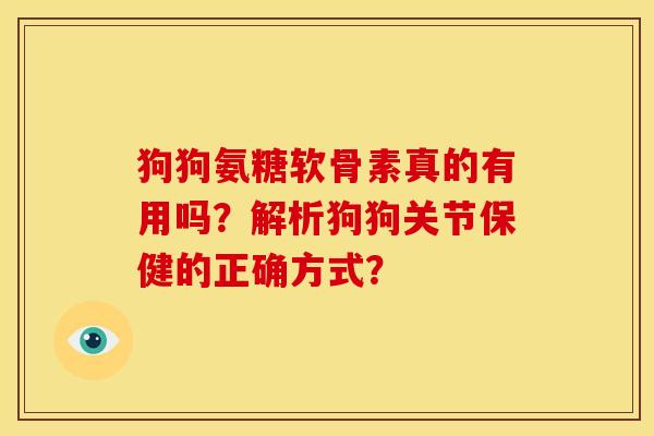 狗狗氨糖软骨素真的有用吗?解析狗狗关节保健的正确方式? 狗狗氨糖软骨素真的有用吗?解析狗狗关节保健的正确方式?
