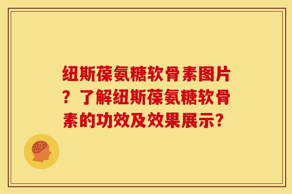 纽斯葆氨糖软骨素图片？了解纽斯葆氨糖软骨素的功效及效果展示？