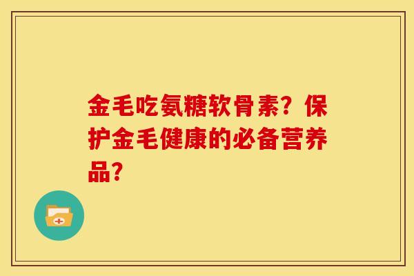 金毛吃氨糖软骨素?保护金毛健康的必备营养品? 金毛吃氨糖软骨素?保护金毛健康的必备营养品?