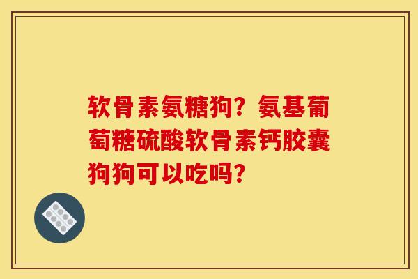 软骨素氨糖狗？氨基葡萄糖硫酸软骨素钙胶囊狗狗可以吃吗？