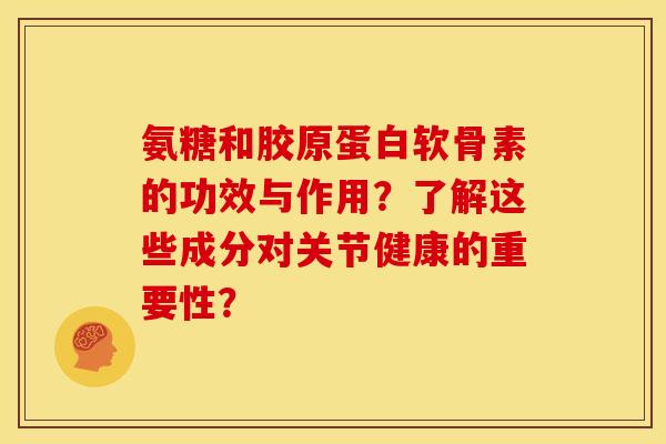 氨糖和胶原蛋白软骨素的功效与作用？了解这些成分对关节健康的重要性？