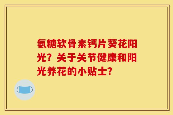 氨糖软骨素钙片葵花阳光?关于关节健康和阳光养花的小贴士? 氨糖软骨素钙片葵花阳光?关于关节健康和阳光养花的小贴士?