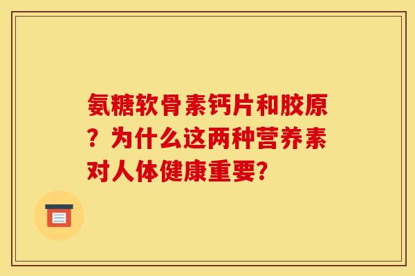 氨糖软骨素钙片和胶原？为什么这两种营养素对人体健康重要？