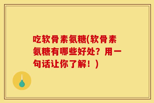 吃软骨素氨糖(软骨素氨糖有哪些好处？用一句话让你了解！)
