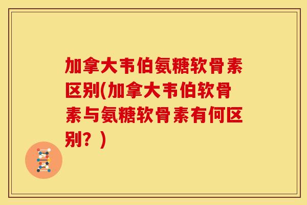 加拿大韦伯氨糖软骨素区别(加拿大韦伯软骨素与氨糖软骨素有何区别?) 加拿大韦伯氨糖软骨素区别(加拿大韦伯软骨素与氨糖软骨素有何区别?)