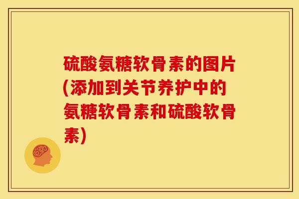 硫酸氨糖软骨素的图片(添加到关节养护中的氨糖软骨素和硫酸软骨素) 硫酸氨糖软骨素的图片(添加到关节养护中的氨糖软骨素和硫酸软骨素)