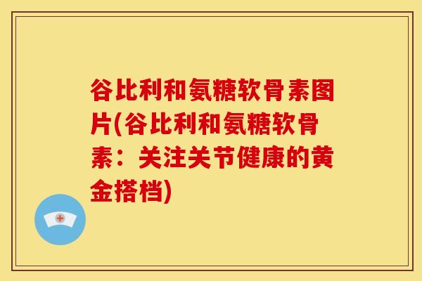 谷比利和氨糖软骨素图片(谷比利和氨糖软骨素：关注关节健康的黄金搭档)