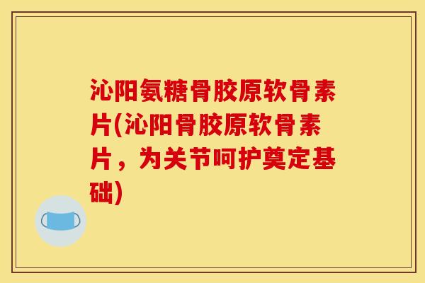 沁阳氨糖骨胶原软骨素片(沁阳骨胶原软骨素片，为关节呵护奠定基础)