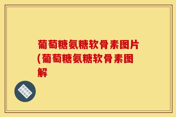 葡萄糖氨糖软骨素图片(葡萄糖氨糖软骨素图解 葡萄糖氨糖软骨素图片(葡萄糖氨糖软骨素图解