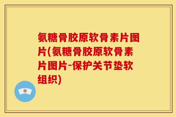 氨糖骨胶原软骨素片图片(氨糖骨胶原软骨素片图片-保护关节垫软组织) 氨糖骨胶原软骨素片图片(氨糖骨胶原软骨素片图片-保护关节垫软组织)