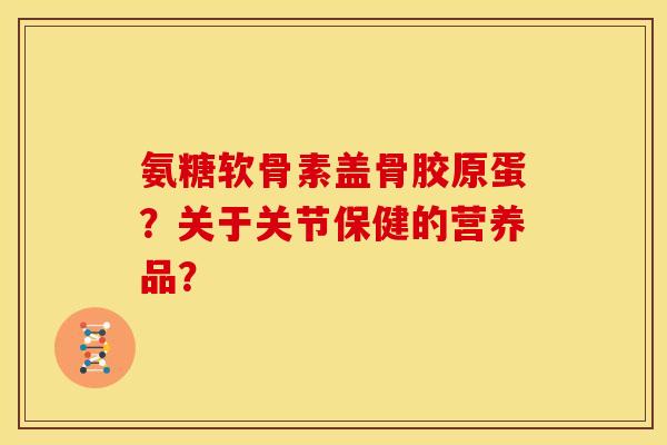 氨糖软骨素盖骨胶原蛋?关于关节保健的营养品? 氨糖软骨素盖骨胶原蛋?关于关节保健的营养品?
