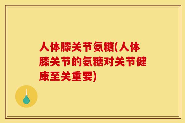 人体膝关节氨糖(人体膝关节的氨糖对关节健康至关重要) 人体膝关节氨糖(人体膝关节的氨糖对关节健康至关重要)