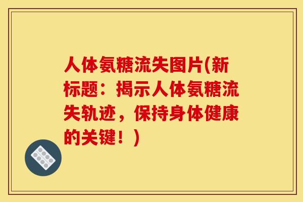 人体氨糖流失图片(新标题:揭示人体氨糖流失轨迹,保持身体健康的关键!) 人体氨糖流失图片(新标题:揭示人体氨糖流失轨迹,保持身体健康的关键!)