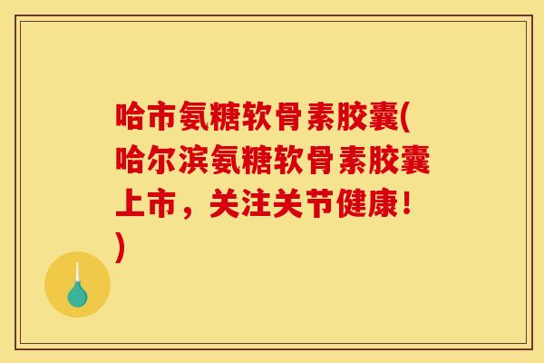 哈市氨糖软骨素胶囊(哈尔滨氨糖软骨素胶囊上市，关注关节健康！)