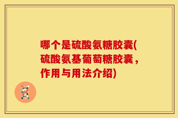 哪个是硫酸氨糖胶囊(硫酸氨基葡萄糖胶囊,作用与用法介绍) 哪个是硫酸氨糖胶囊(硫酸氨基葡萄糖胶囊,作用与用法介绍)