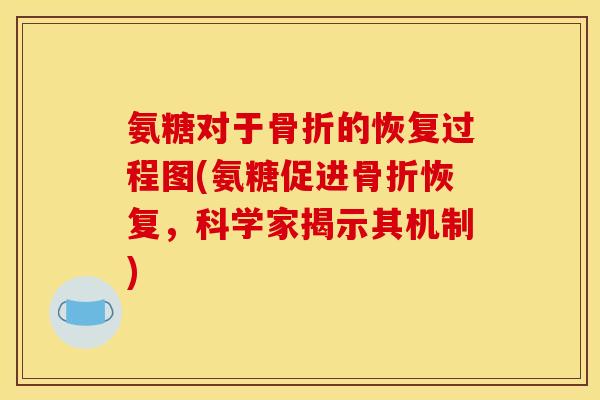 氨糖对于的恢复过程图(氨糖促进恢复,科学家揭示其机制) 氨糖对于的恢复过程图(氨糖促进恢复,科学家揭示其机制)
