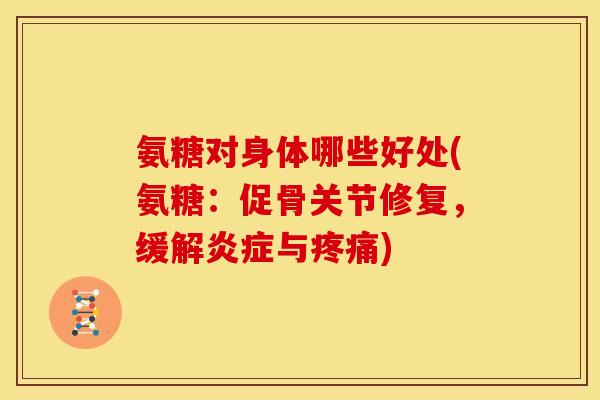 氨糖对身体哪些好处(氨糖：促骨关节修复，缓解与)
