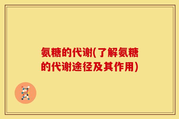 氨糖的代谢(了解氨糖的代谢途径及其作用) 氨糖的代谢(了解氨糖的代谢途径及其作用)