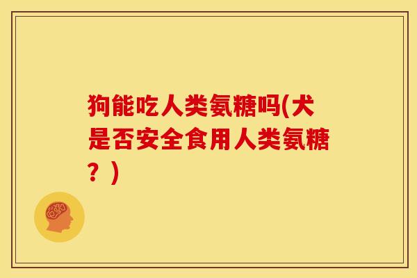 狗能吃人类氨糖吗(犬是否安全食用人类氨糖？)
