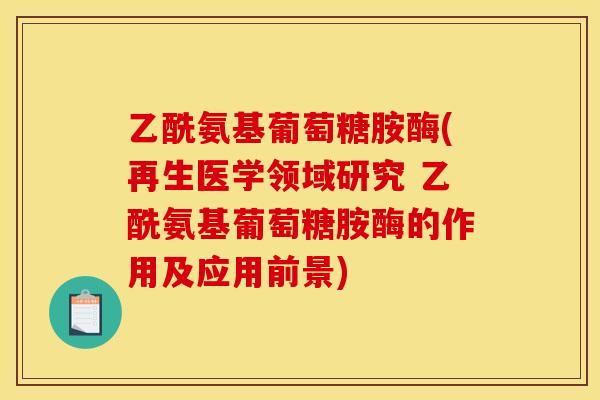 乙酰氨基葡萄糖胺酶(再生医学领域研究 乙酰氨基葡萄糖胺酶的作用及应用前景)