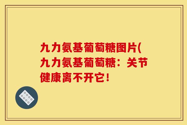 九力氨基葡萄糖图片(九力氨基葡萄糖：关节健康离不开它！