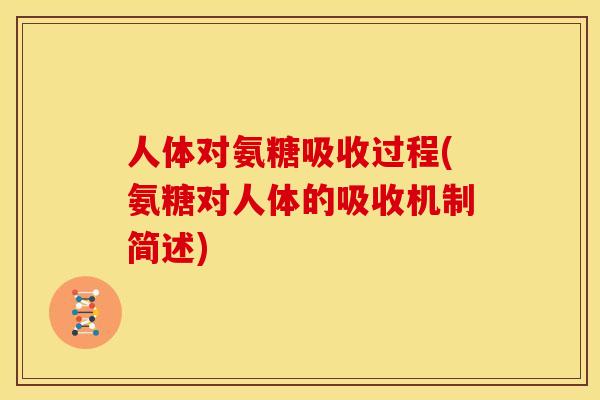人体对氨糖吸收过程(氨糖对人体的吸收机制简述) 人体对氨糖吸收过程(氨糖对人体的吸收机制简述)