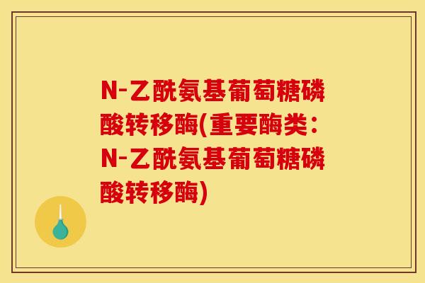 N-乙酰氨基葡萄糖磷酸转移酶(重要酶类:N-乙酰氨基葡萄糖磷酸转移酶) N-乙酰氨基葡萄糖磷酸转移酶(重要酶类:N-乙酰氨基葡萄糖磷酸转移酶)