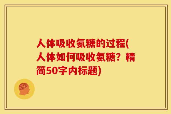 人体吸收氨糖的过程(人体如何吸收氨糖？精简50字内标题)