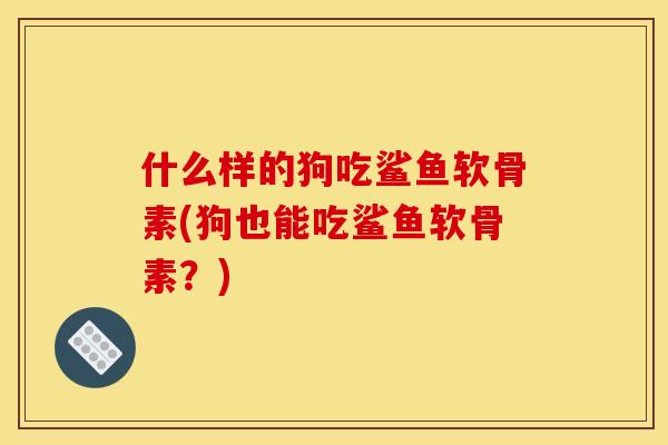 什么样的狗吃鲨鱼软骨素(狗也能吃鲨鱼软骨素？)